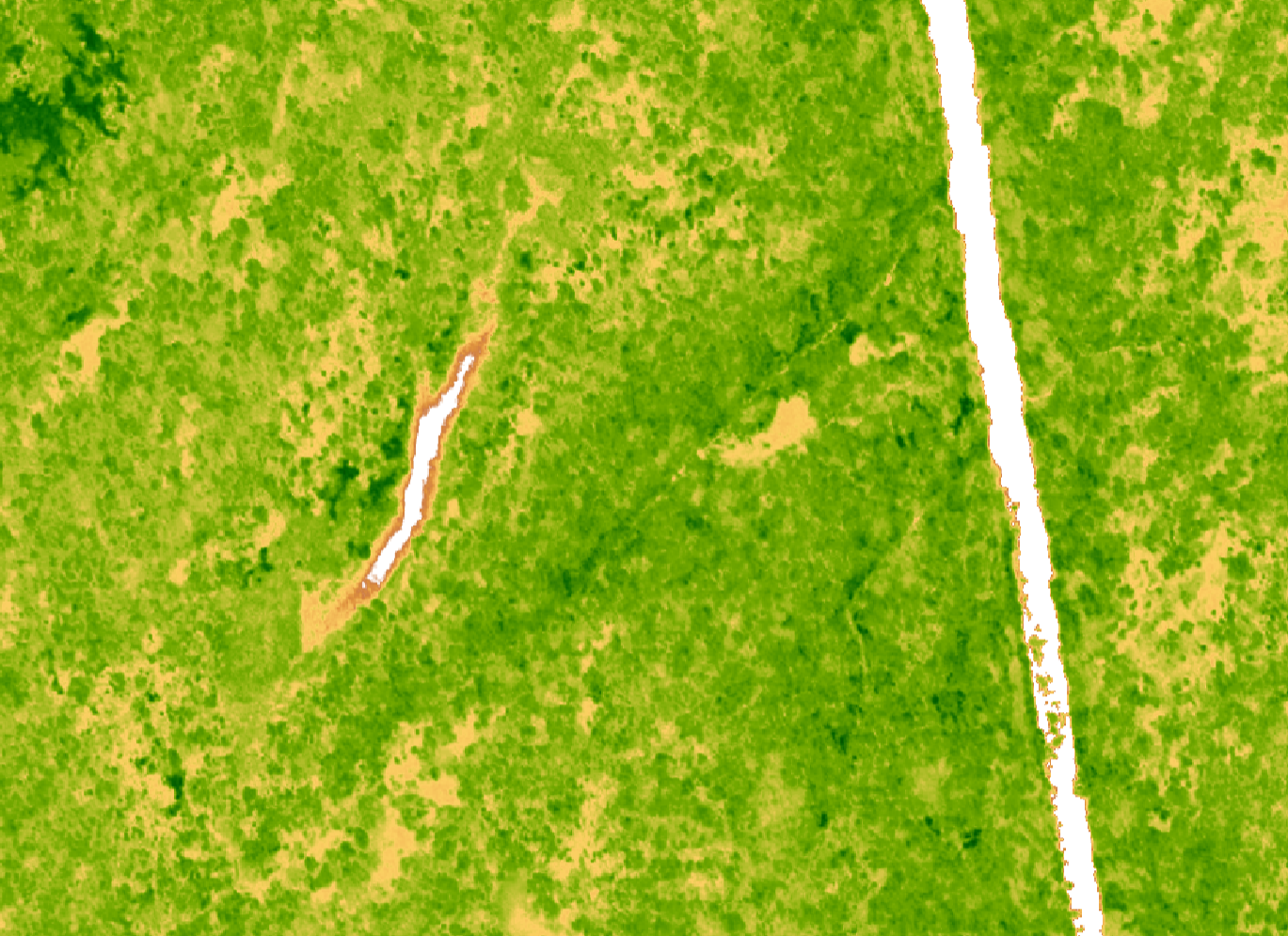 Vegetation (Airbus Pléiades Multispectral, Extended Archive)
