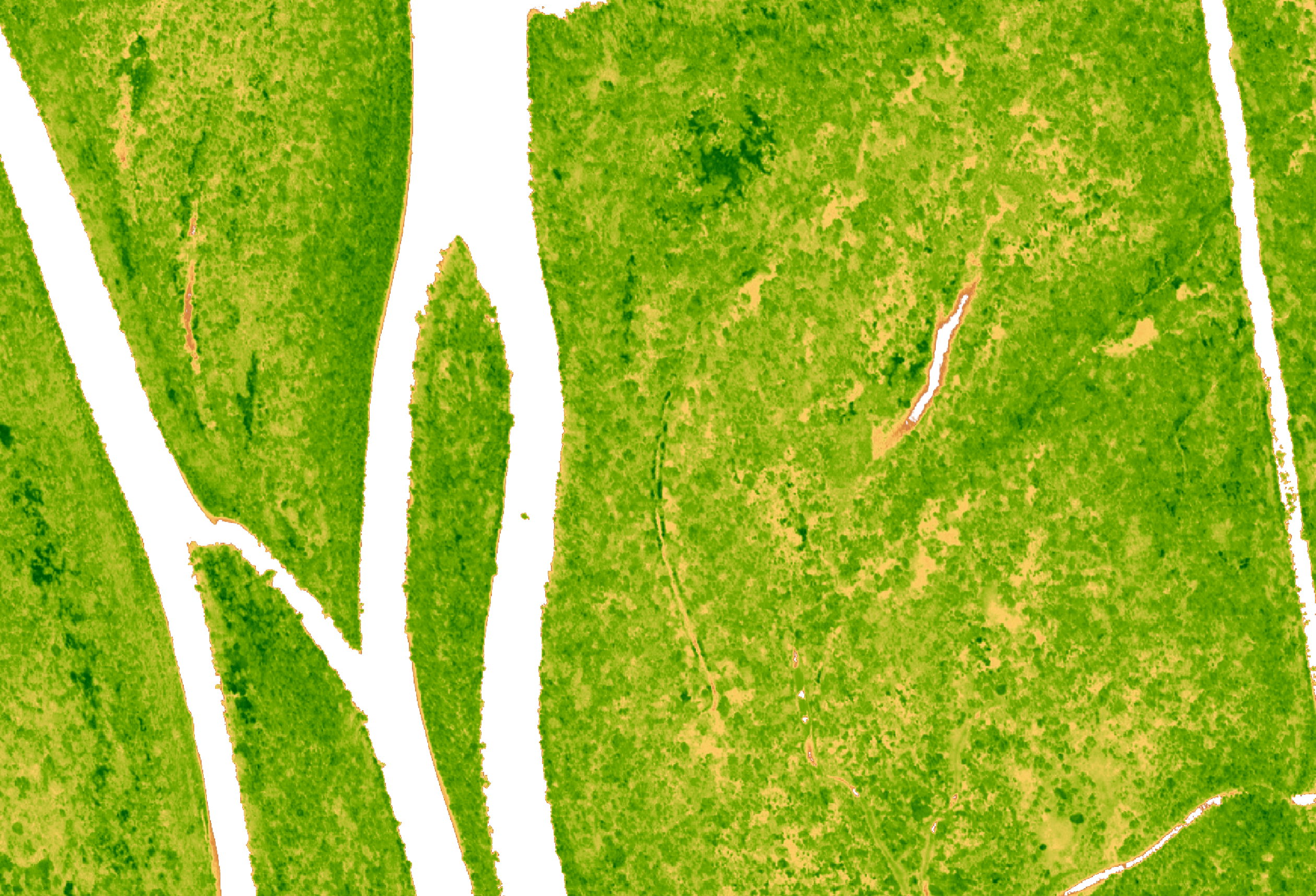 Vegetation (Airbus Pléiades Neo Extended Archive)