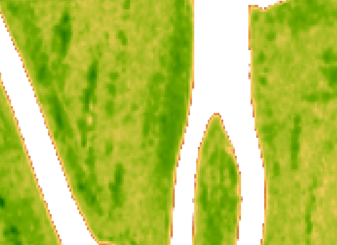 Vegetation (Airbus SPOT)