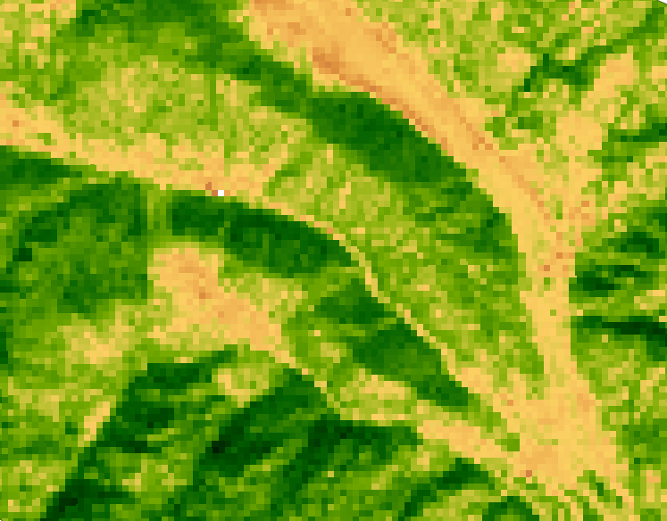 Vegetation (HLS)