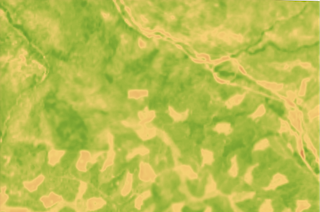 Vegetation (L8)