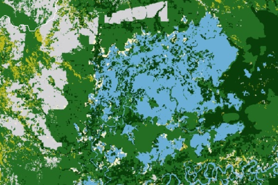 Natural Lands Classification (WRI)