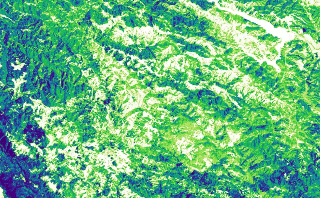Forest Carbon Package (10m)