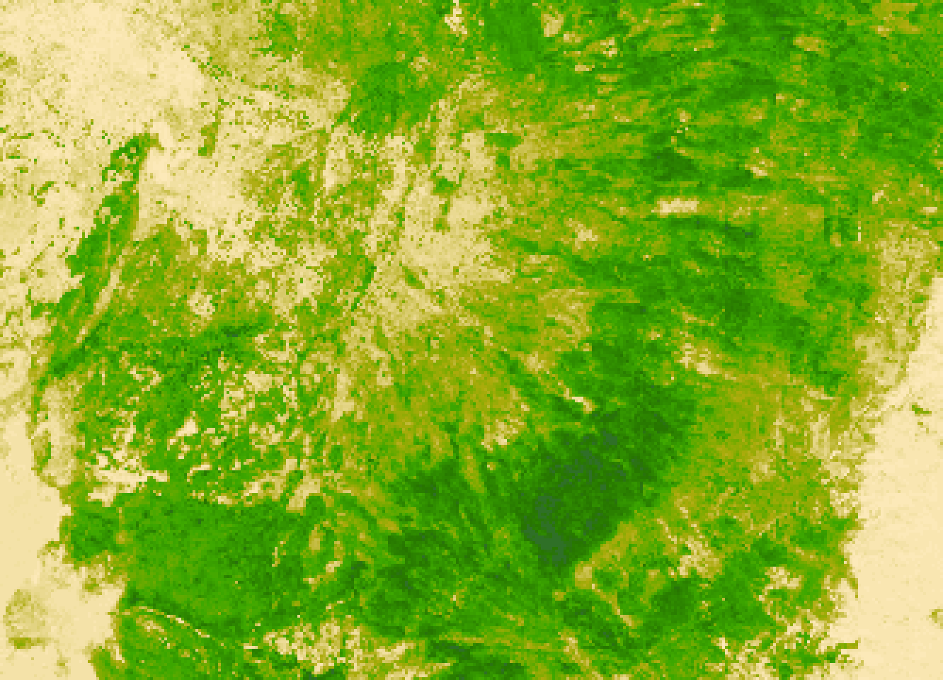 Cheatgrass (RCMAP)