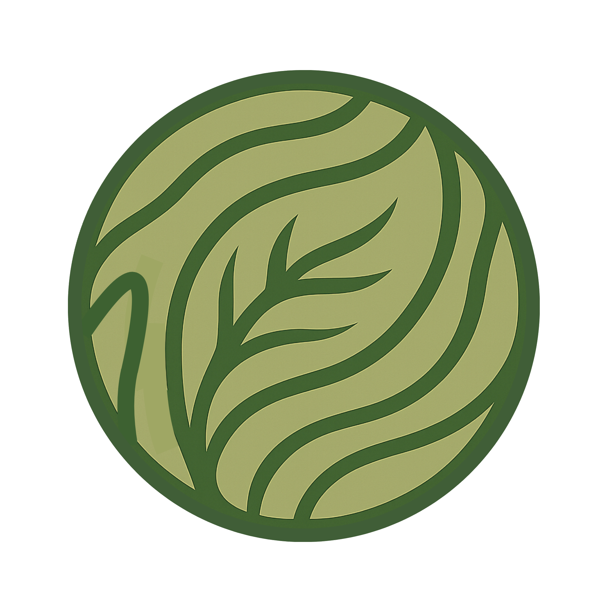 Darwin Geospatial