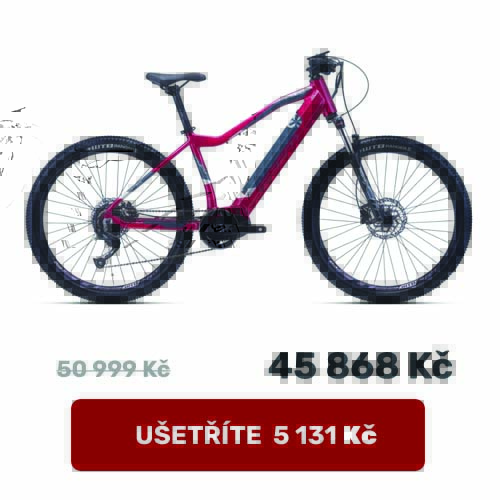 CTM Ruby 29