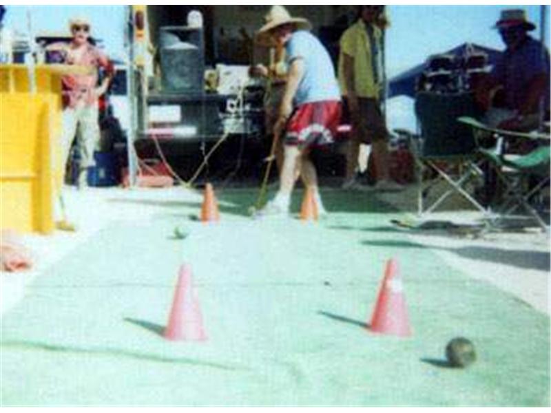 Longest Successful Croquet Shot