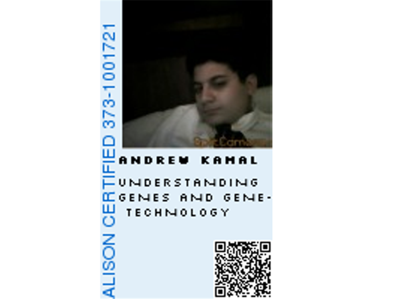 Most ALISON Certifications Received