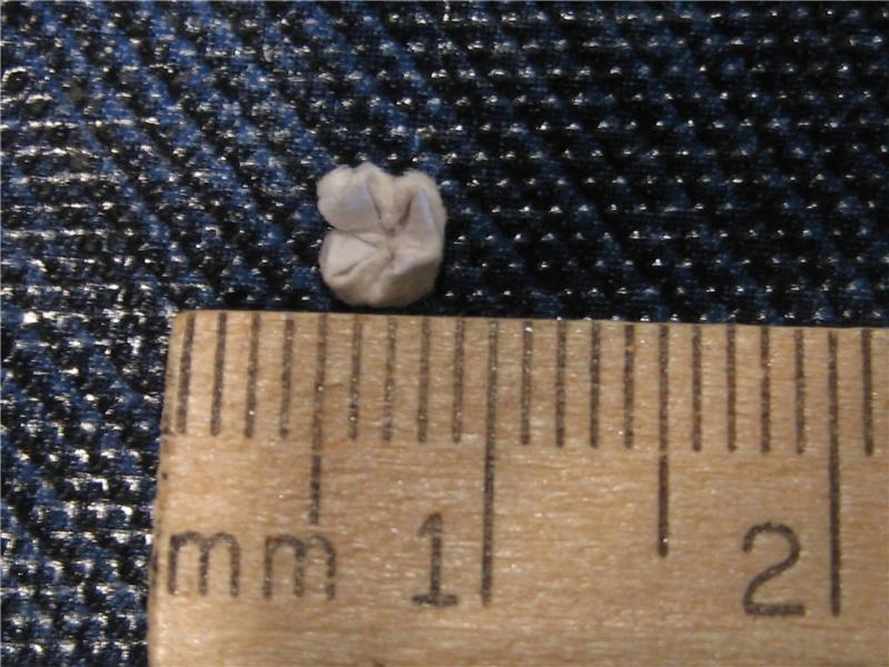 Smallest Cootie Catcher