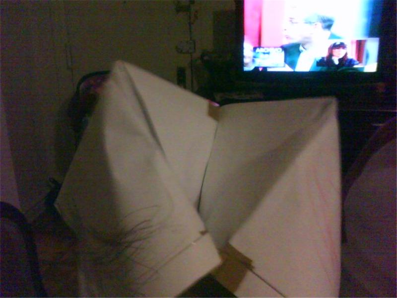 Largest Cootie Catcher 