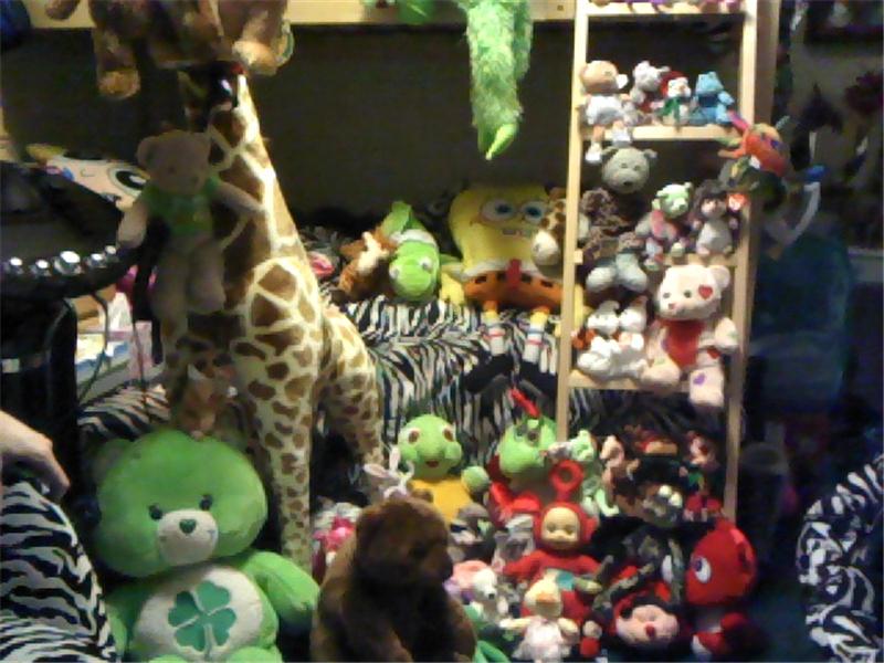 Most Stuffed Animals In A Bedroom