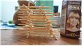 Tallest Toothpick Tower