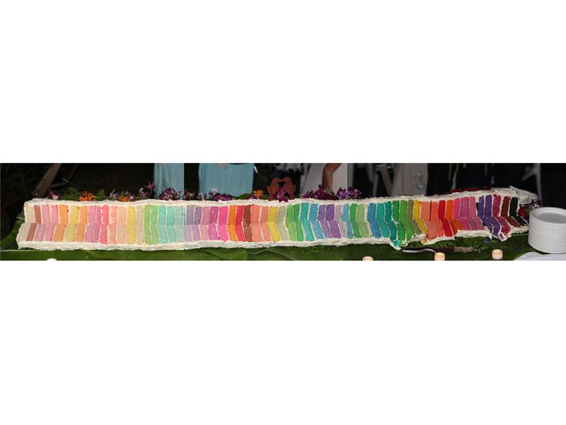 Most Colors In A Wedding Cake