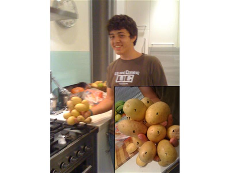 Most Potatoes Held In Hand