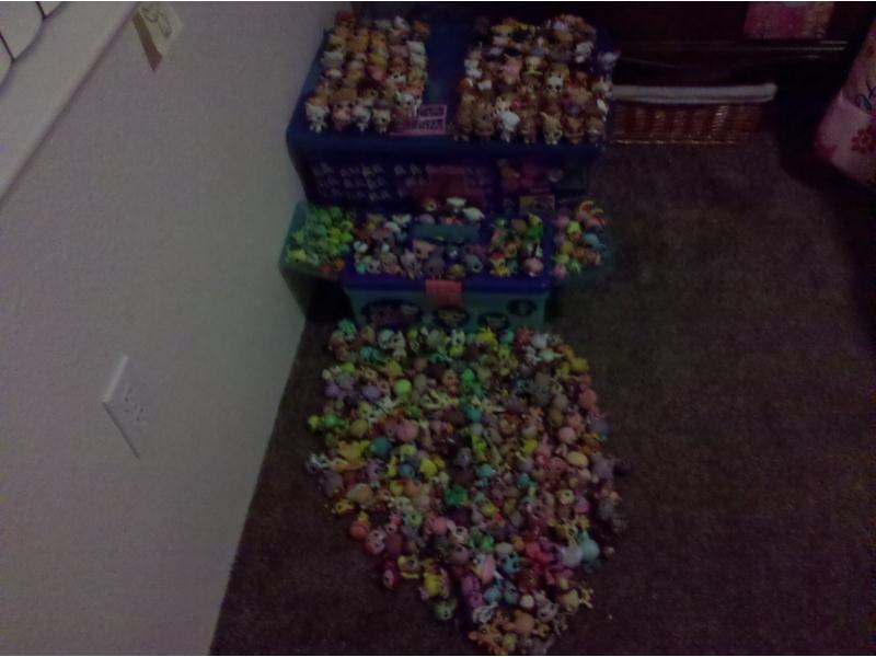 Largest Collection Of 