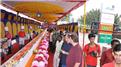 Longest Ice Cream Dessert 