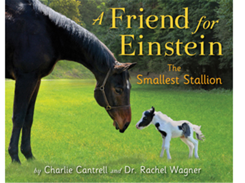 Smallest Horse To Star In A Best-Selling Children\'s Book