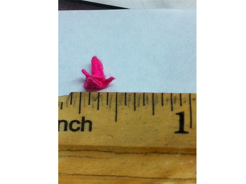 Smallest Origami Crane