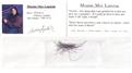 Largest Collection Of Family Signatures, Hair And Quotes