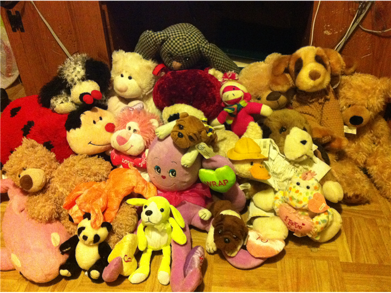 Most Stuffed Animals In A Bedroom