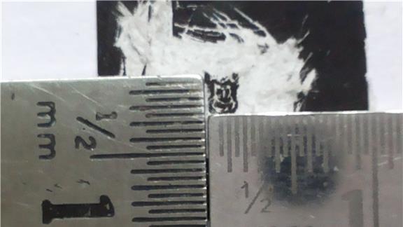 World Smallest Micro Portrait