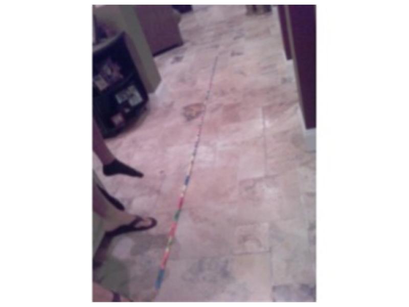 Longest Expo Marker Train