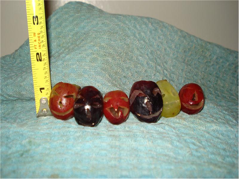 Largest Collection Of Jack-O-Lantern Grapes