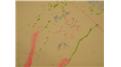 Most Signatures On A Room\'s Interior