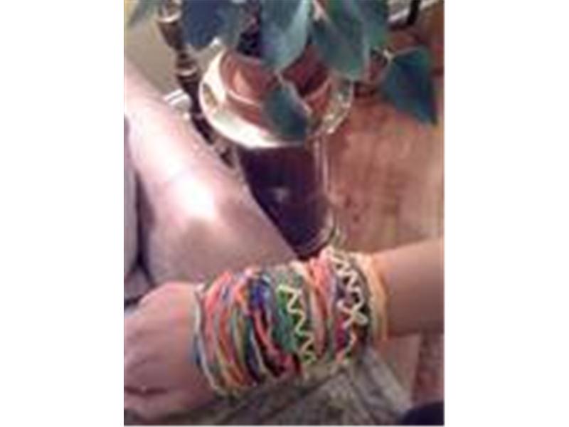 Most Animal Bracelets Worn On Wrist At Once