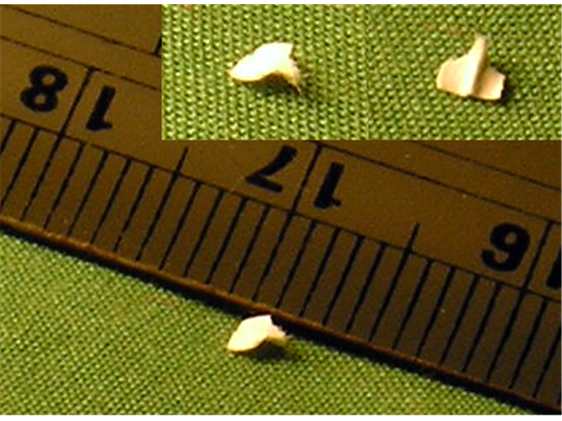 Smallest Paper Airplane