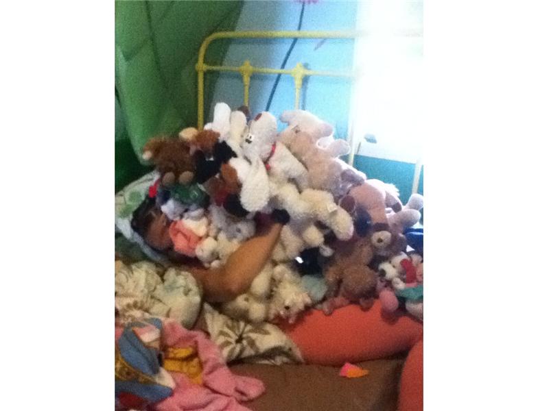 Most Stuffed Animals Held In Arms At Once