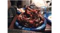 Most Buffalo Wings Eaten By Two Brothers While Watching A UFC Pay-Per-View Fight
