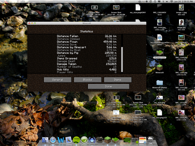 Most Lifetime Damage Dealt In 