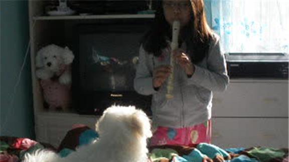 Fastest Time for Drawing Anime Face