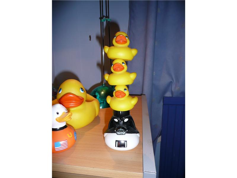 Tallest Rubber Duck Tower