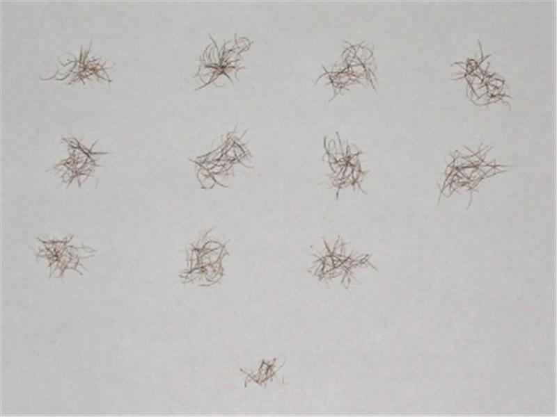 Largest Nose Hair Collection