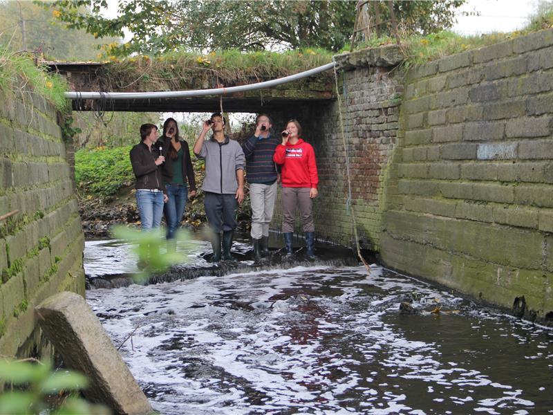 Most People Drinking Beer While Standing In A River