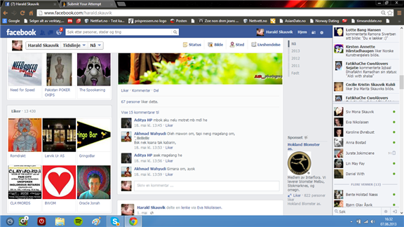 Moust Facebook Likes