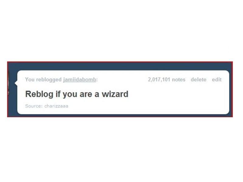 Most Notes On Tumblr Post