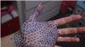 Most Cats Drawn On One\'s Own Hand