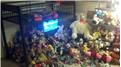 Most Stuffed Animals In A Bedroom