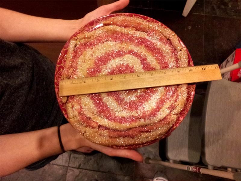 Largest Christmas Decorated Sugar Cookie