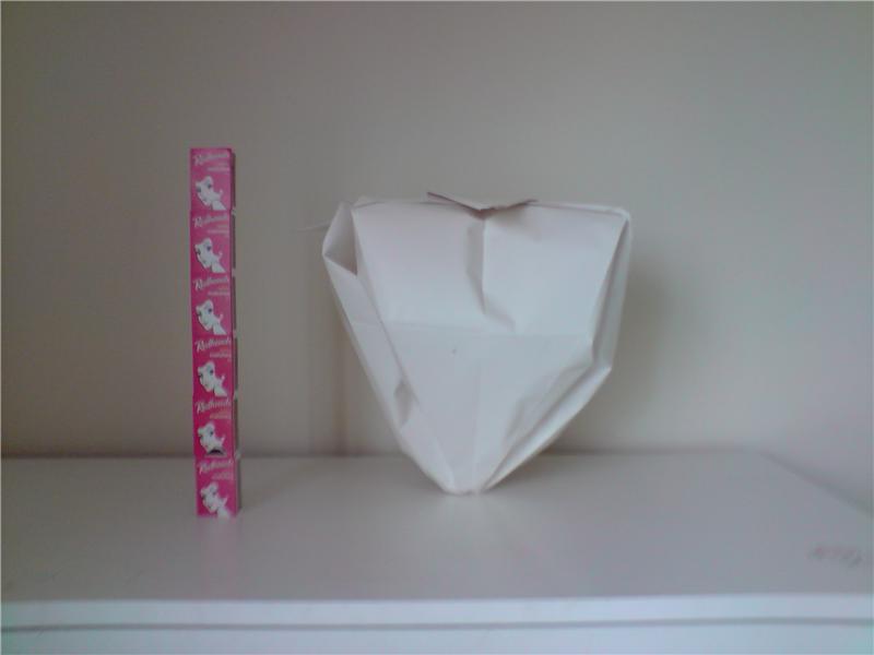 Tallest Origami Strawberry