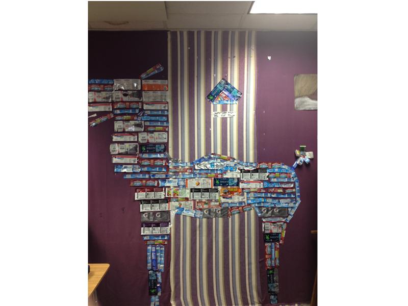 Largest Animal Mosaic Made Of Bottle Labels
