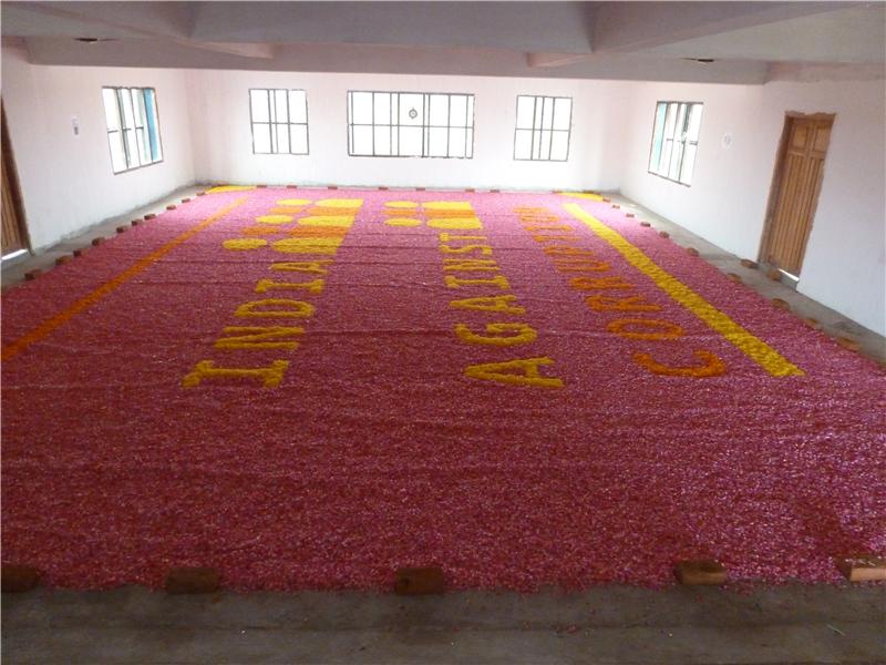 Largest Flower Mosaic