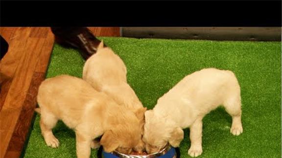 Test Youtube Downloaded