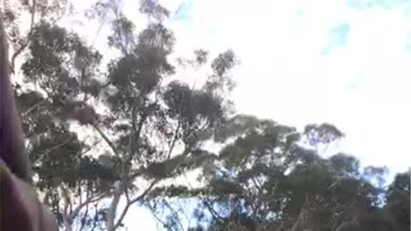 Most Tuck Jumps in 10secconds 