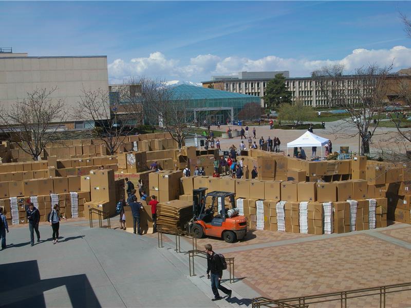 Largest Cardboard Fort