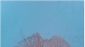 Most Twitpics Of Lip Prints Shared During A One Hour Twitter Party