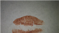 Most Twitpics Of Lip Prints Shared During A One Hour Twitter Party